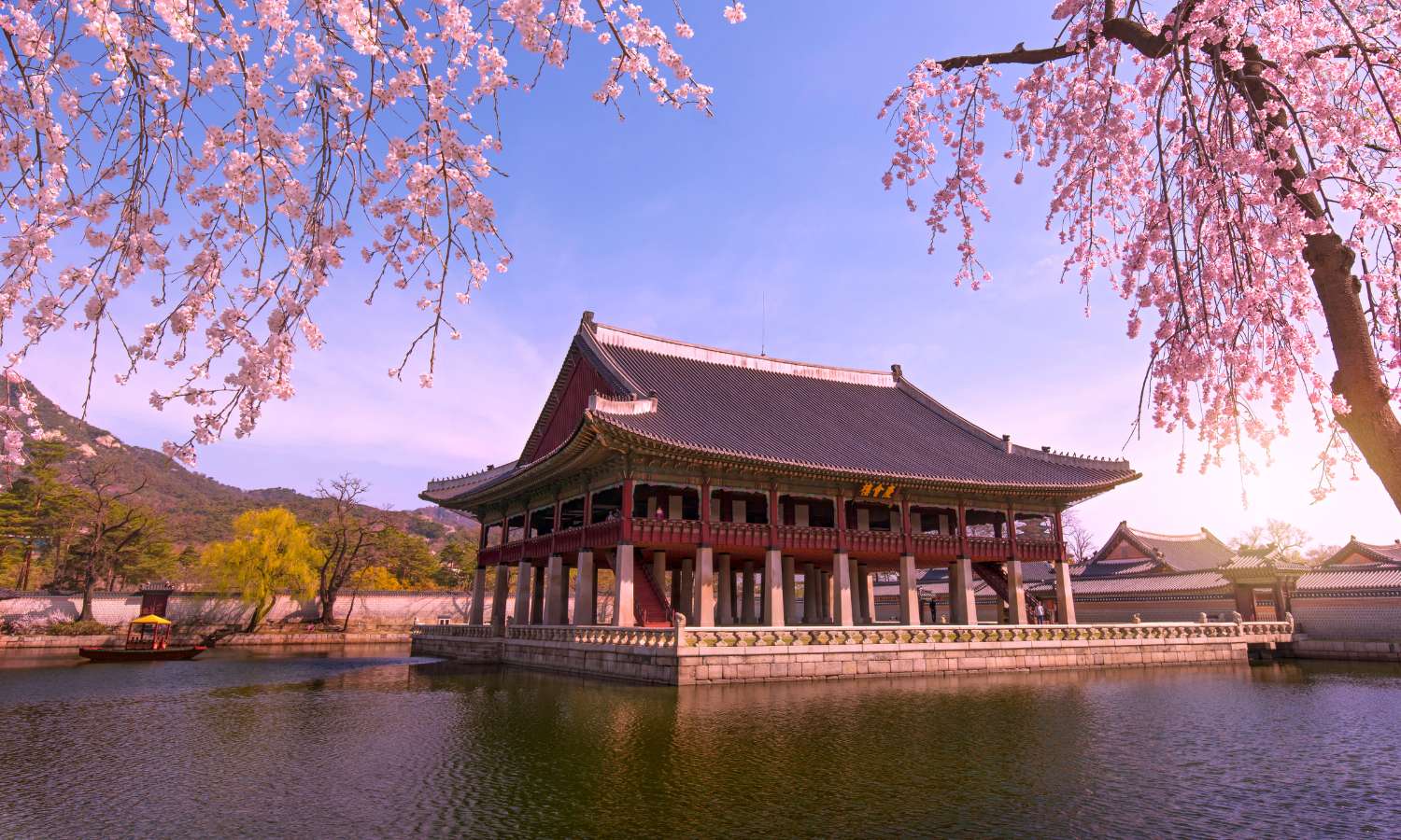 Read more about the article South Korean Odyssey: A Cultural and Scenic Adventure