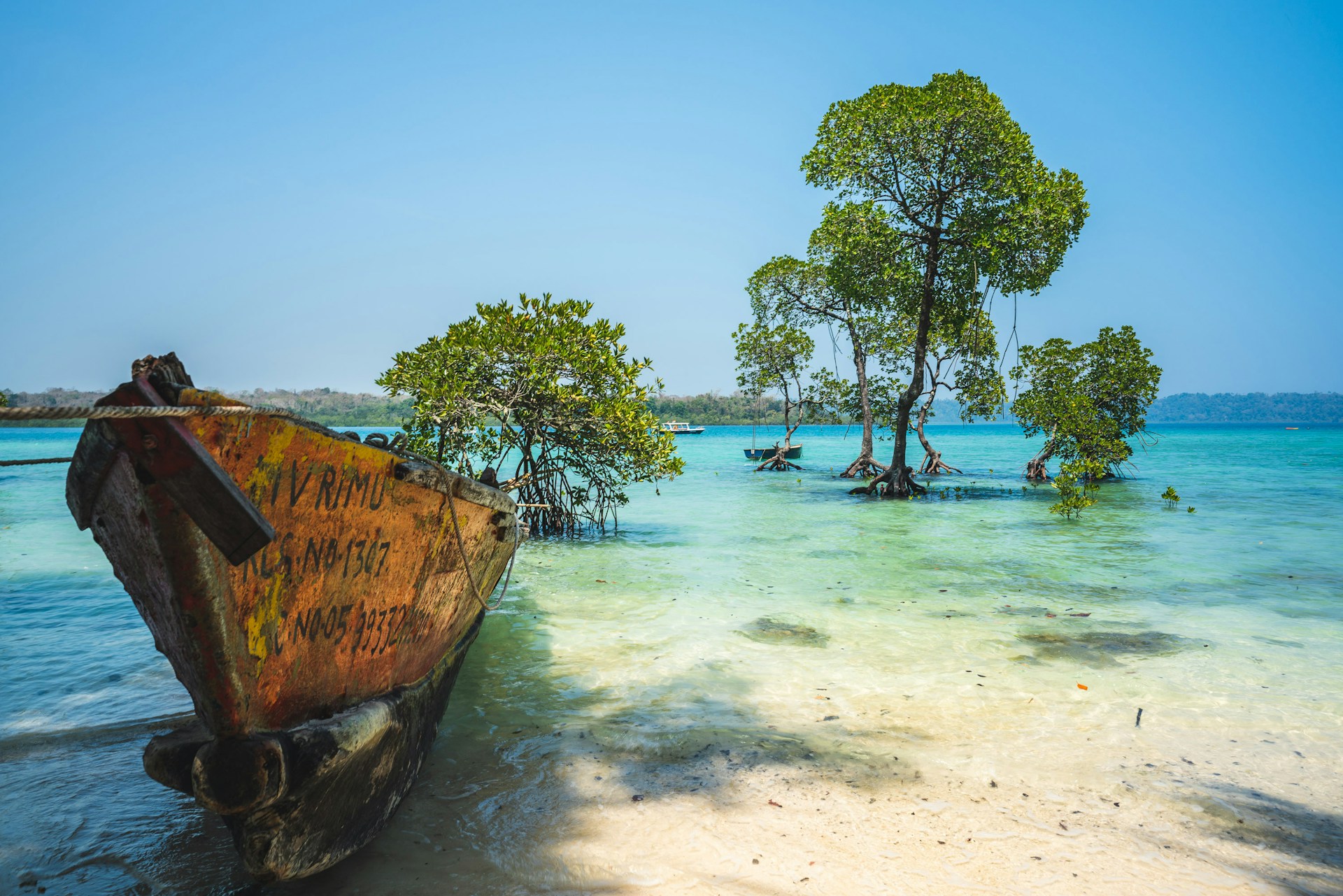 Read more about the article Andaman Bliss: Islands of Serenity & Adventure