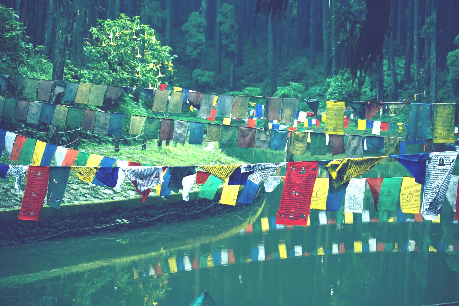 Read more about the article Darjeeling Hills Retreat: Exploring Sitong, & Lopchu