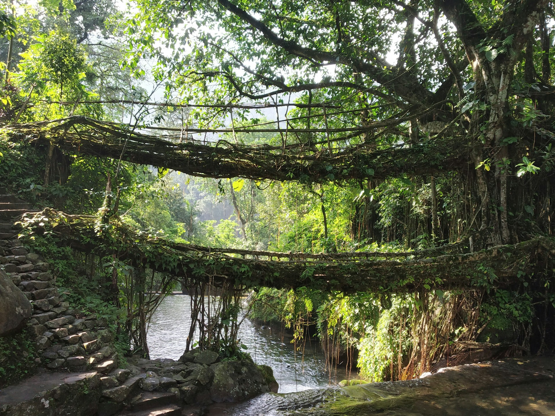 Read more about the article Glorious Meghalaya Adventure with Dawki & Mawlynnong