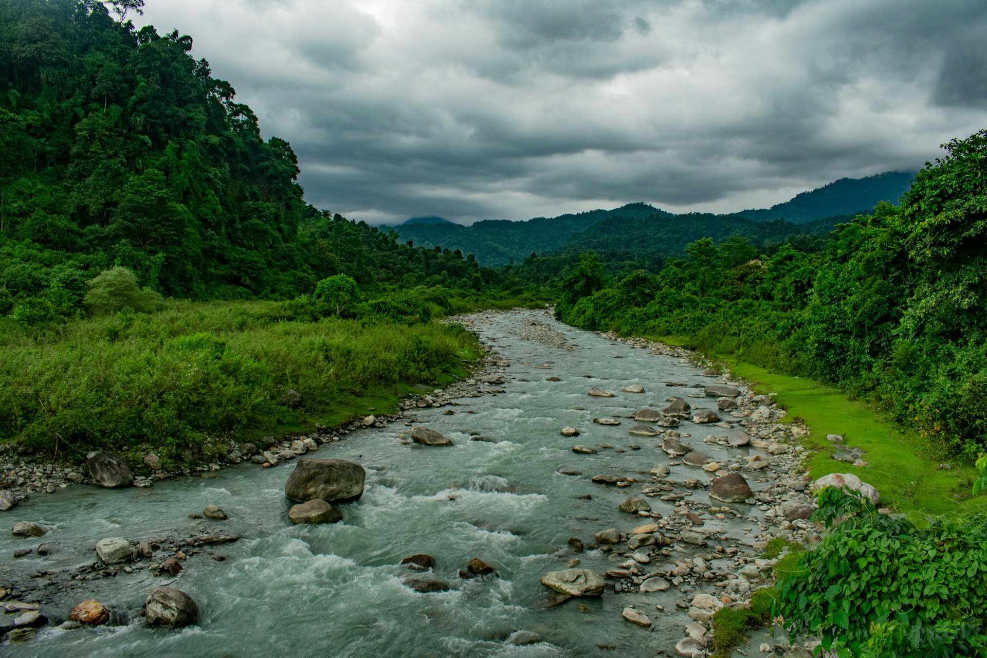 Read more about the article Discover the Forest: The Adventure of Gorumara & Jaldapara