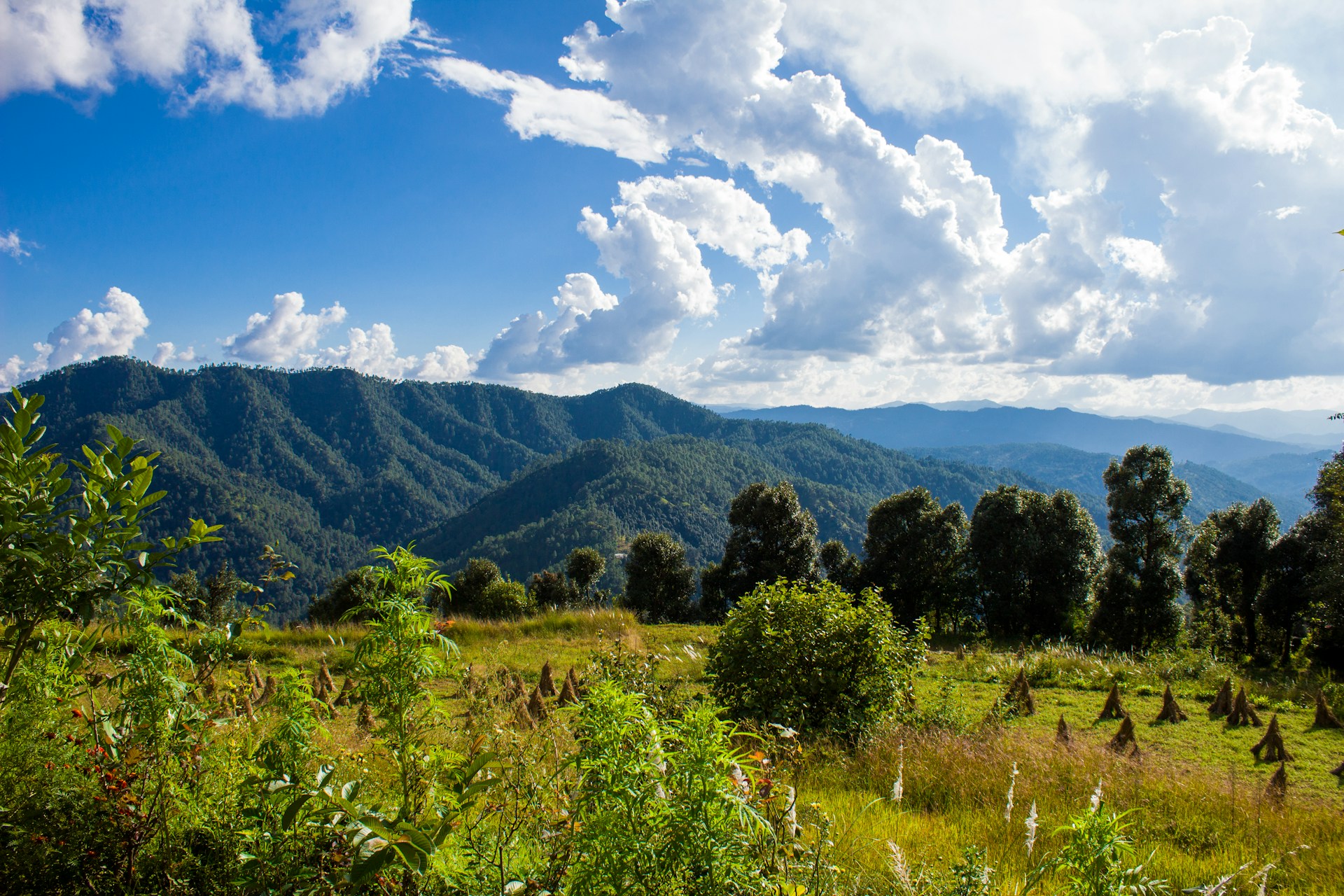 Read more about the article Enchanting Uttarakhand: A Journey Through Nature, Temples, and Wildlife