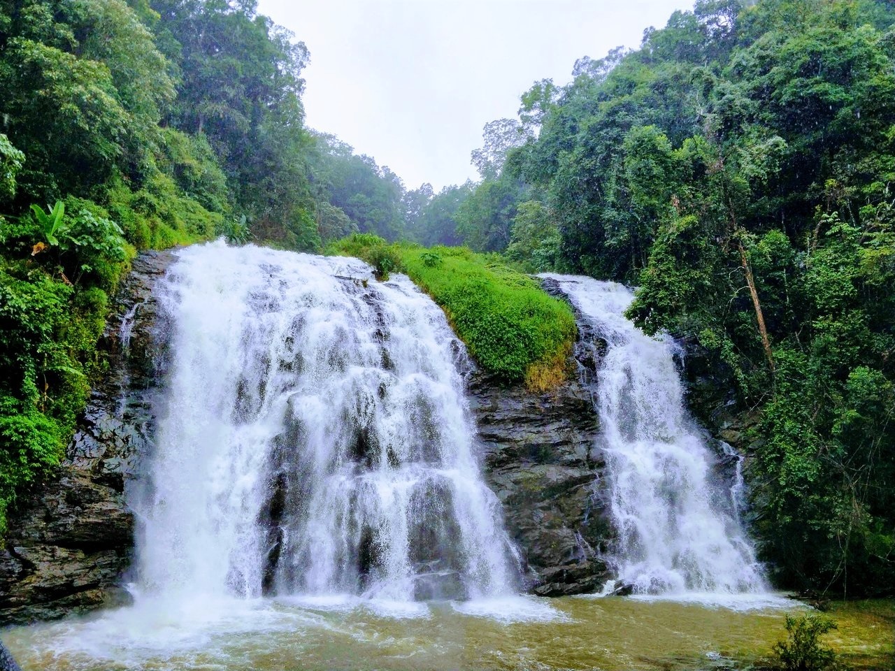 Read more about the article Whispers of the Western Ghats