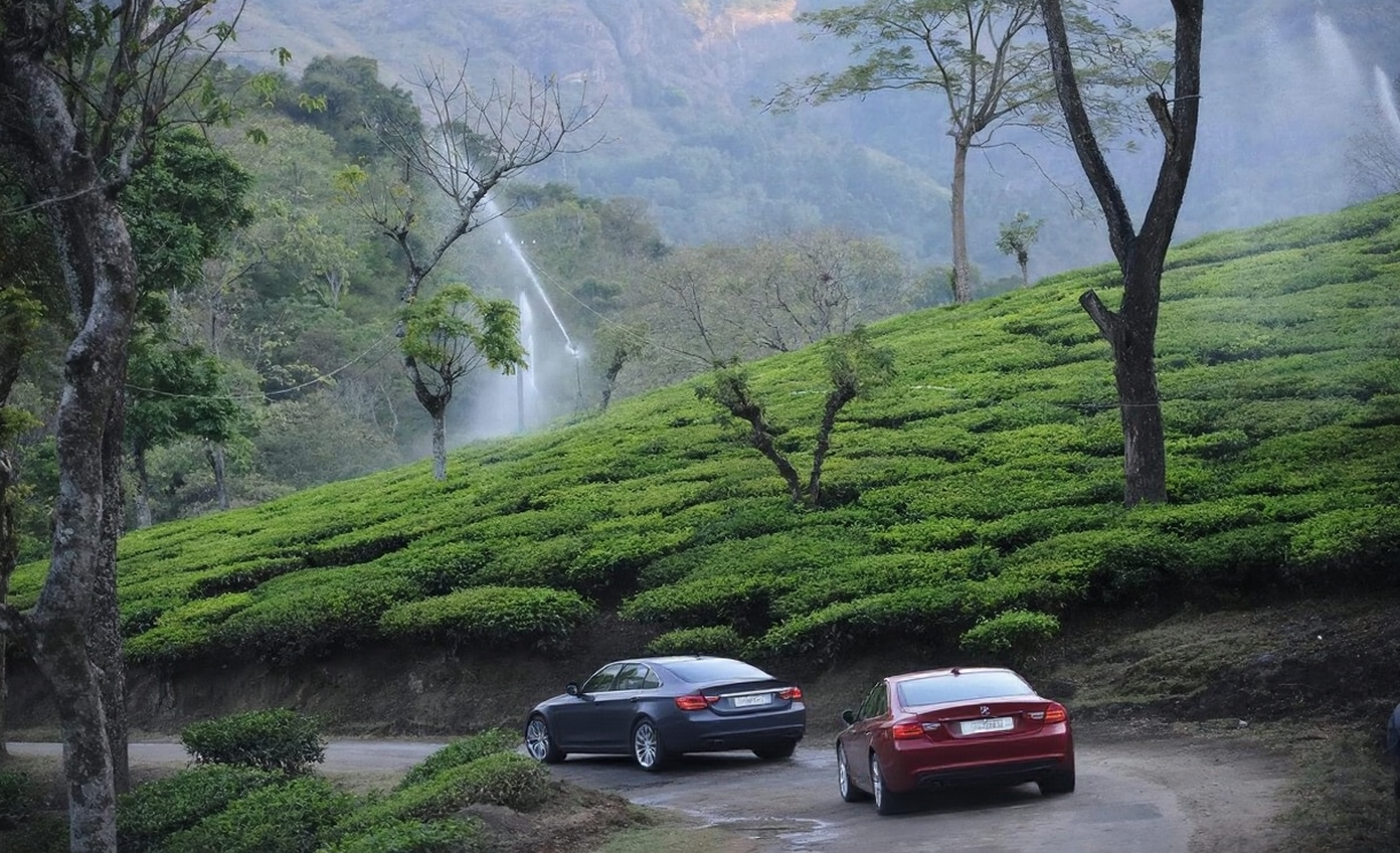 Read more about the article Nilgiri Coorg Escape 🌱